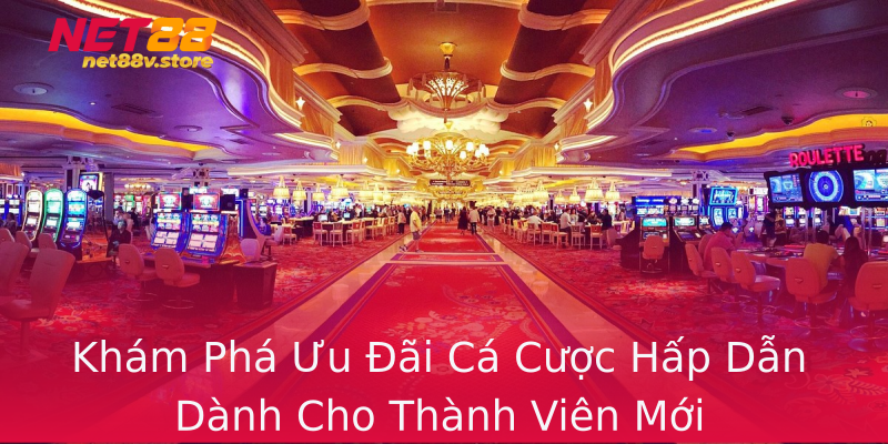 Khám Phá Ưu Đãi Cá Cược Hấp Dẫn Dành Cho Thành Viên Mới Khám Phá Ưu Đãi Cá Cược Hấp Dẫn Dành Cho Thành Viên Mới