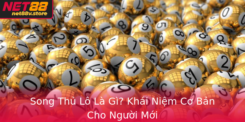 Song Thủ Lô Là Gì? Khái Niệm Cơ Bản Cho Người Mới