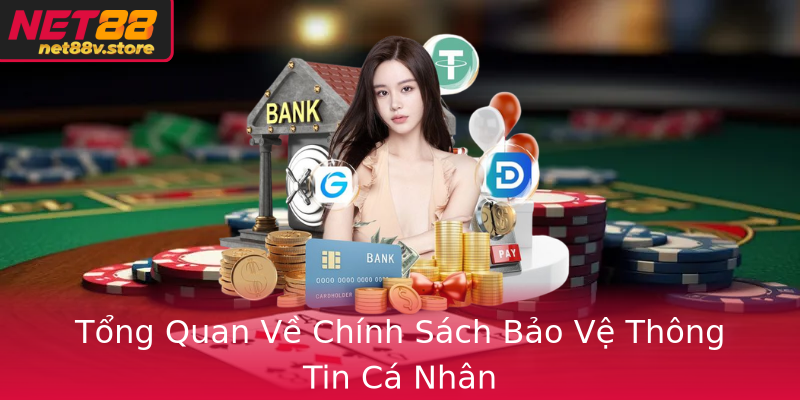 Tong Quan Ve Chinh Sach Bao Ve Thong Tin Ca Nhan